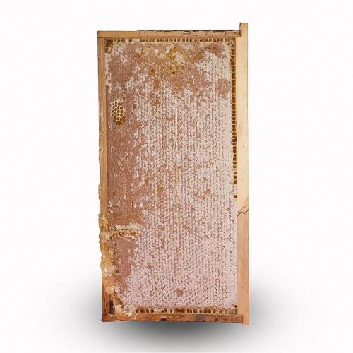 Flower Honey Comb With Wooden Frame (3.37kg) - honeybankuae